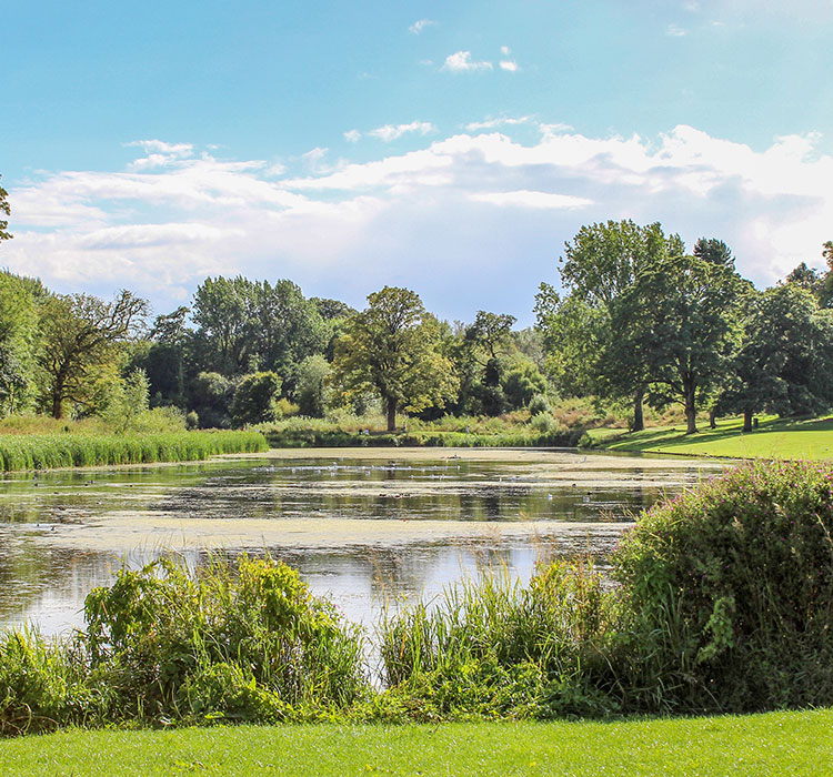Lydiard Park in Swindon photo of lake with trees